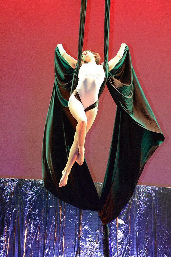 AERIAL ACROBATS