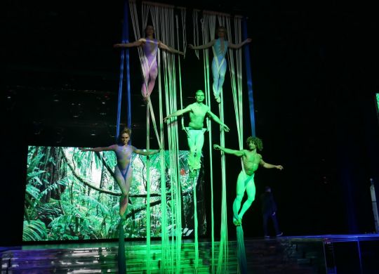 Multicordes Salle des Etoiles 02 - Eklabul Evénements