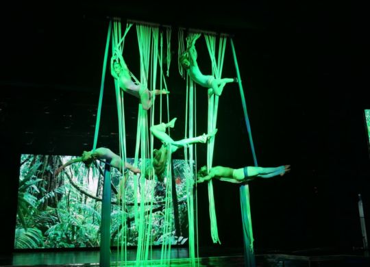 Multicordes Salle des Etoiles 03 - Eklabul Evénements