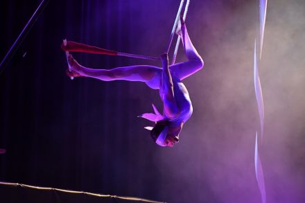 AERIAL TRAPEZE