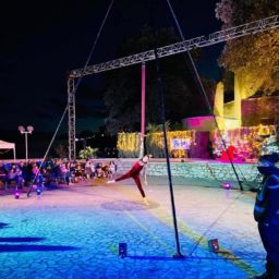 Spectacles de rue : quand le cirque transforme les espaces publics en scènes éphémères