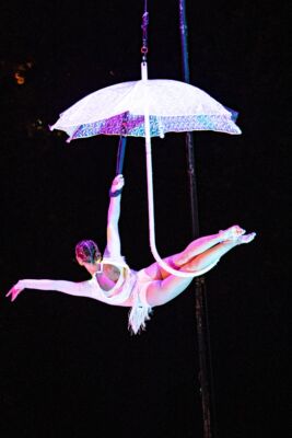 Spectacle Aquatique Terre Blanche