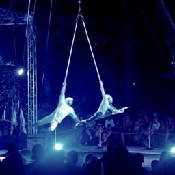 Pourquoi choisir une compagnie de cirque pour vos événements culturels ?