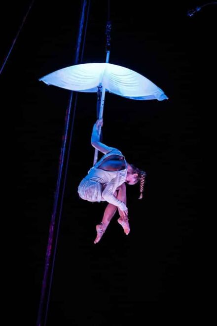 ALICE IN WATERLAND