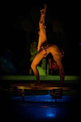 CONTORSION & DANSE