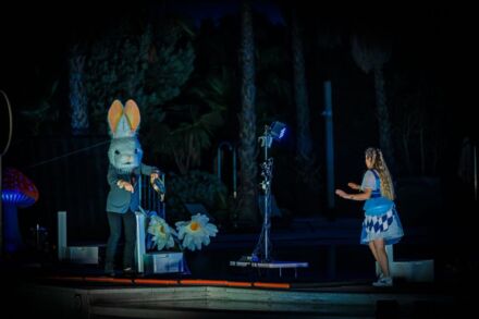 ALICE IN WATERLAND