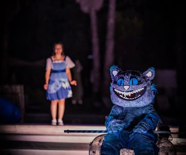 ALICE IN WATERLAND