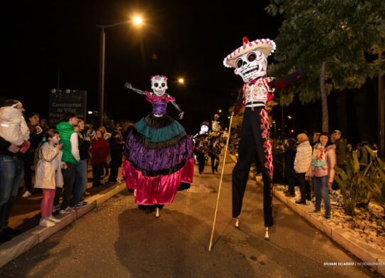 Web Mimosa 2026 - Eklabul_30