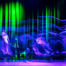 Parade lumineuse pour événement : l’expérience inoubliable d’un spectacle déambulatoire led